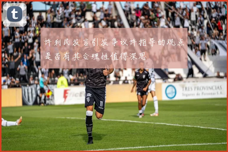 许利民发言引发争议许指导的观点是否有其合理性值得深思