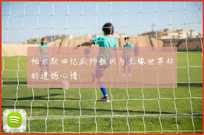 帕尔默回忆瓜帅教训与无缘世界杯的遗憾心情
